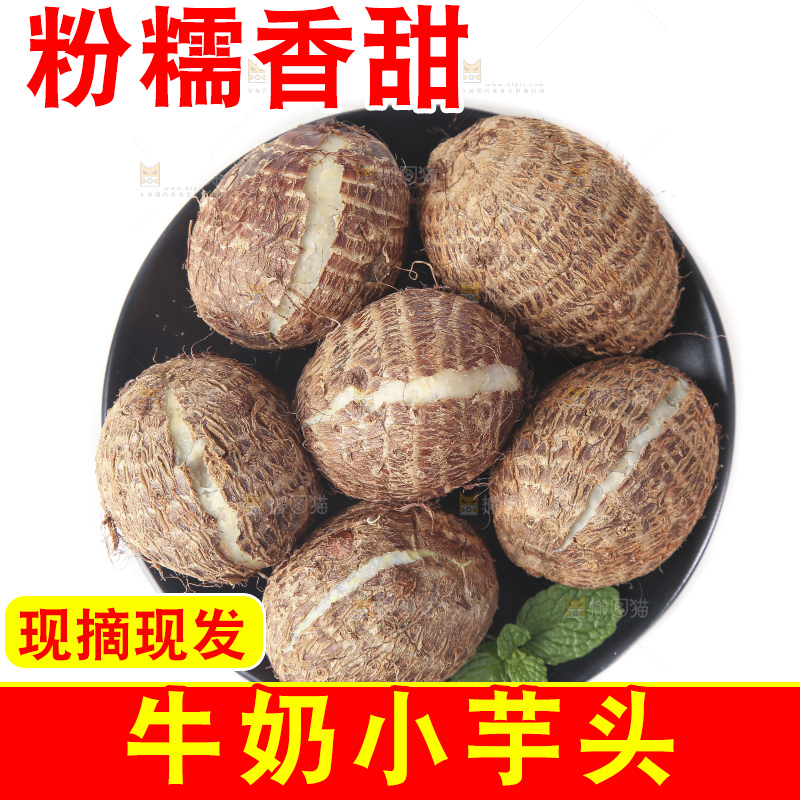 白底上的牛奶芋头