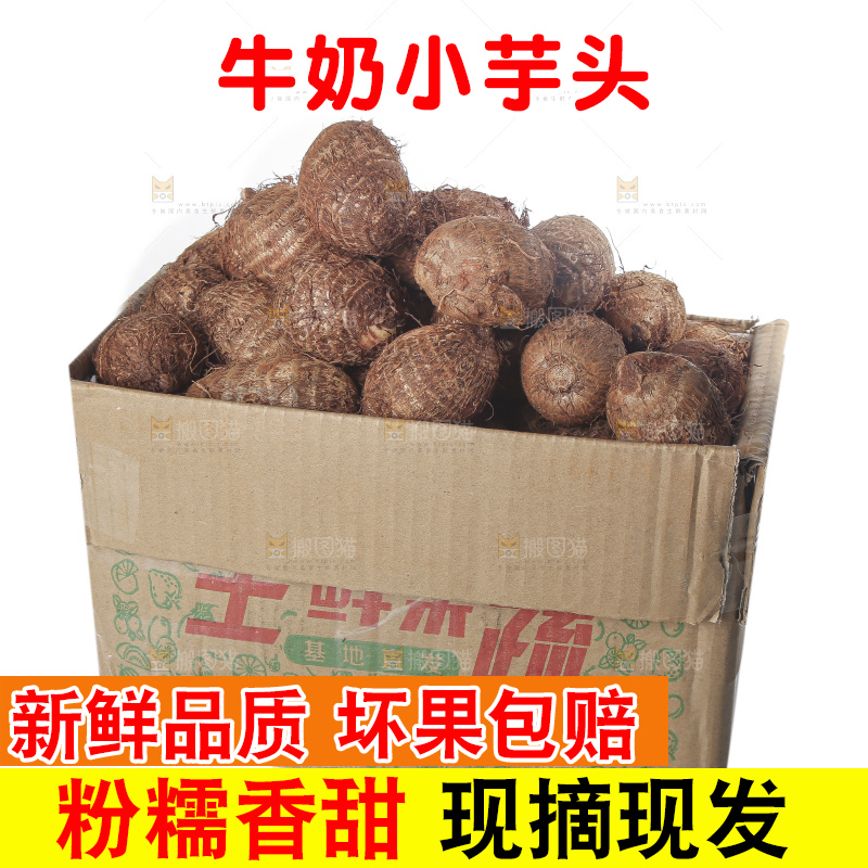 白底上的牛奶芋头