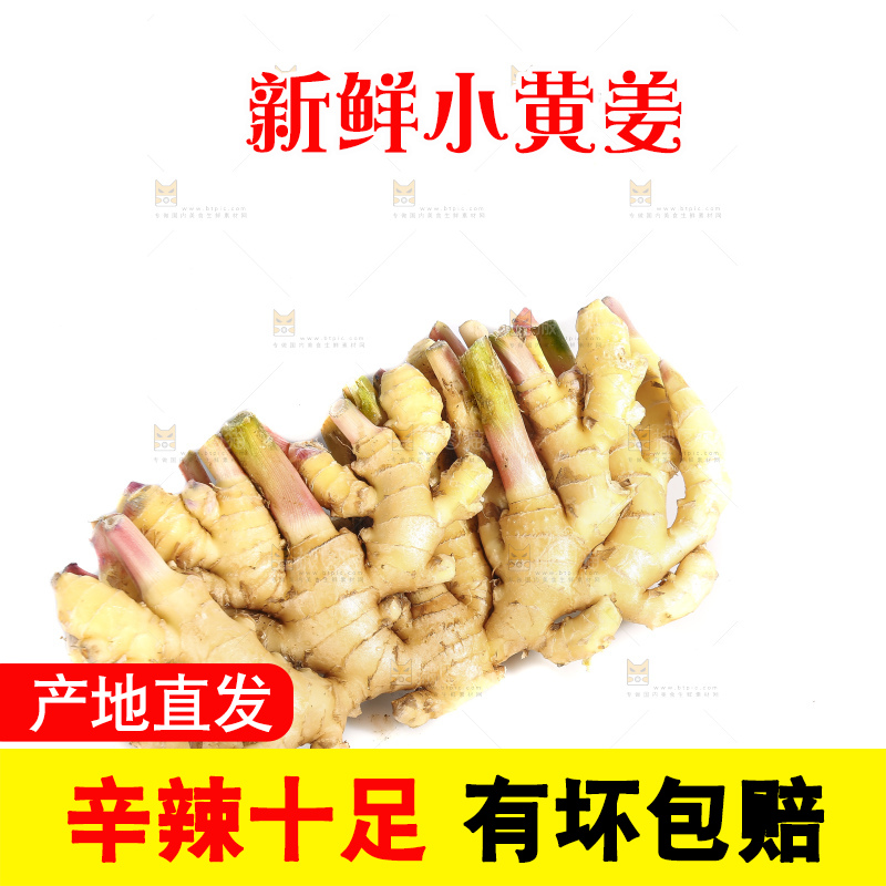 白底上的小黄姜