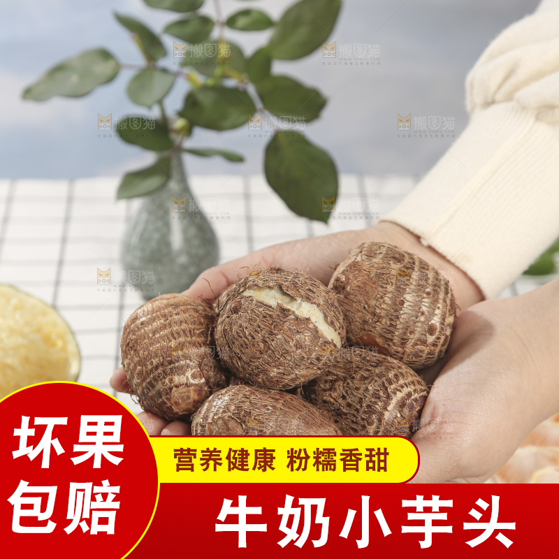 浅底上的新鲜小芋头