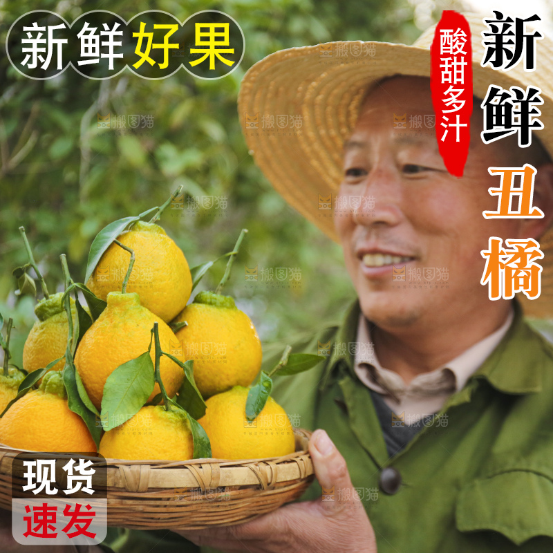 手里拿着丑八怪