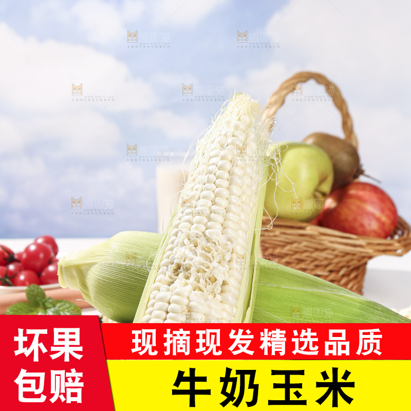 浅底上的牛奶玉米