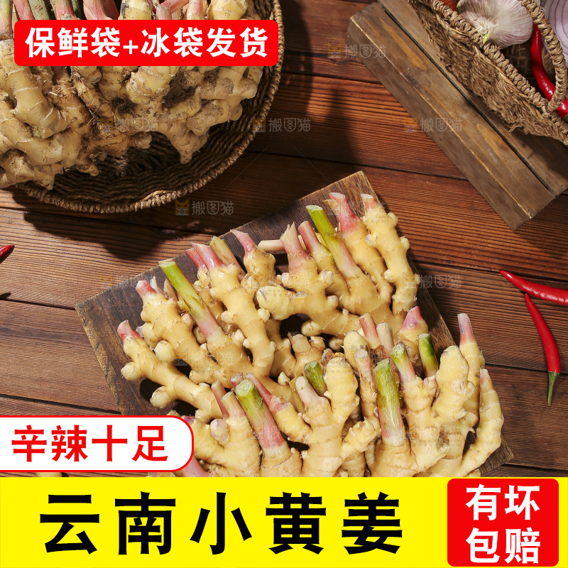 木底上的新鲜小黄姜