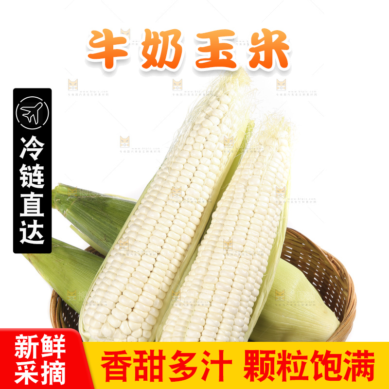 白底上的牛奶玉米