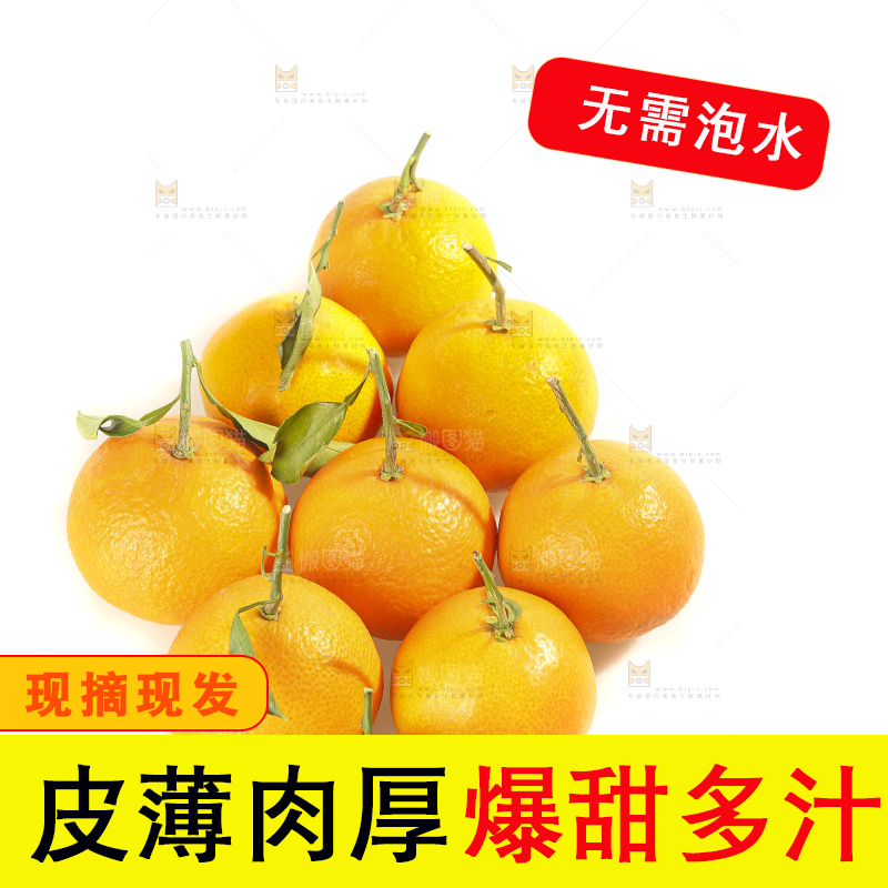 白底上的爱媛果冻橙