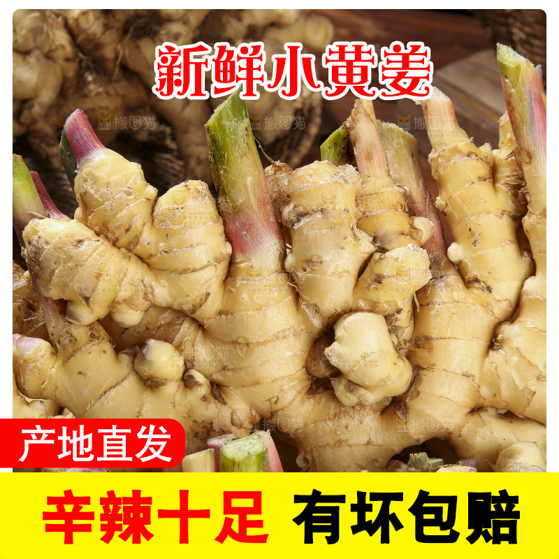 木底上的新鲜小黄姜