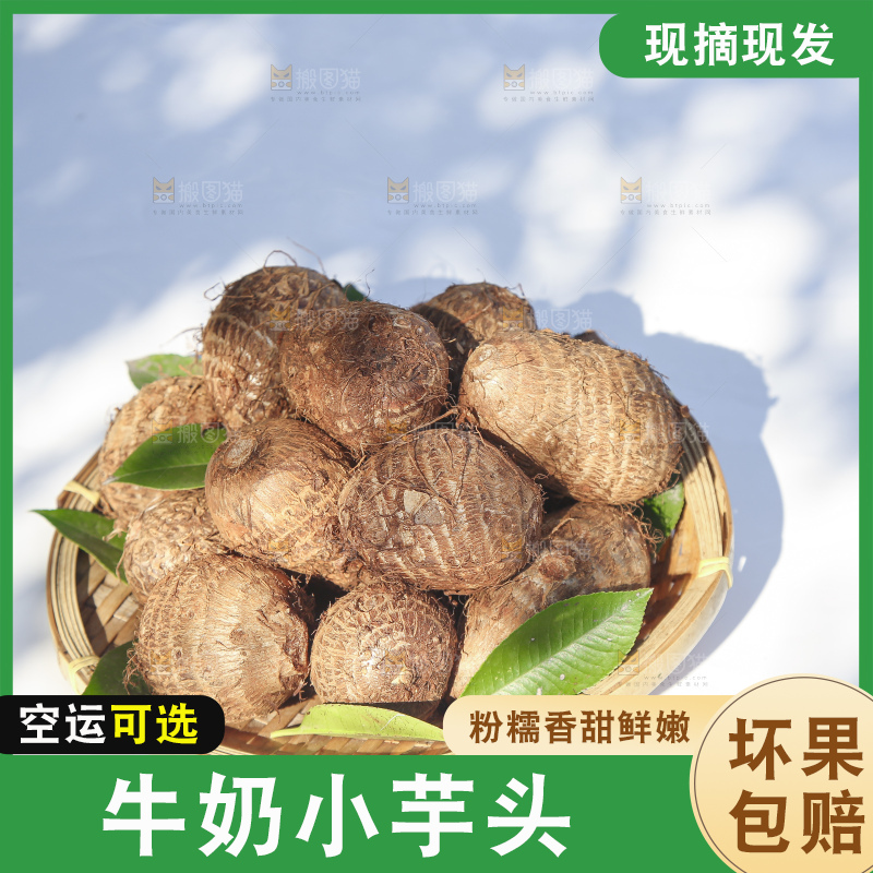 浅底上的新鲜小芋头