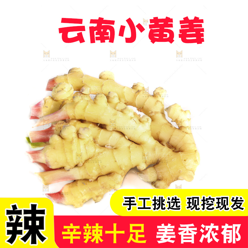 白底上的小黄姜