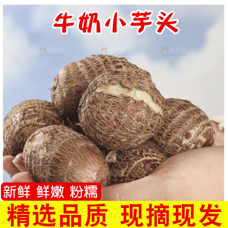 浅底上的新鲜小芋头