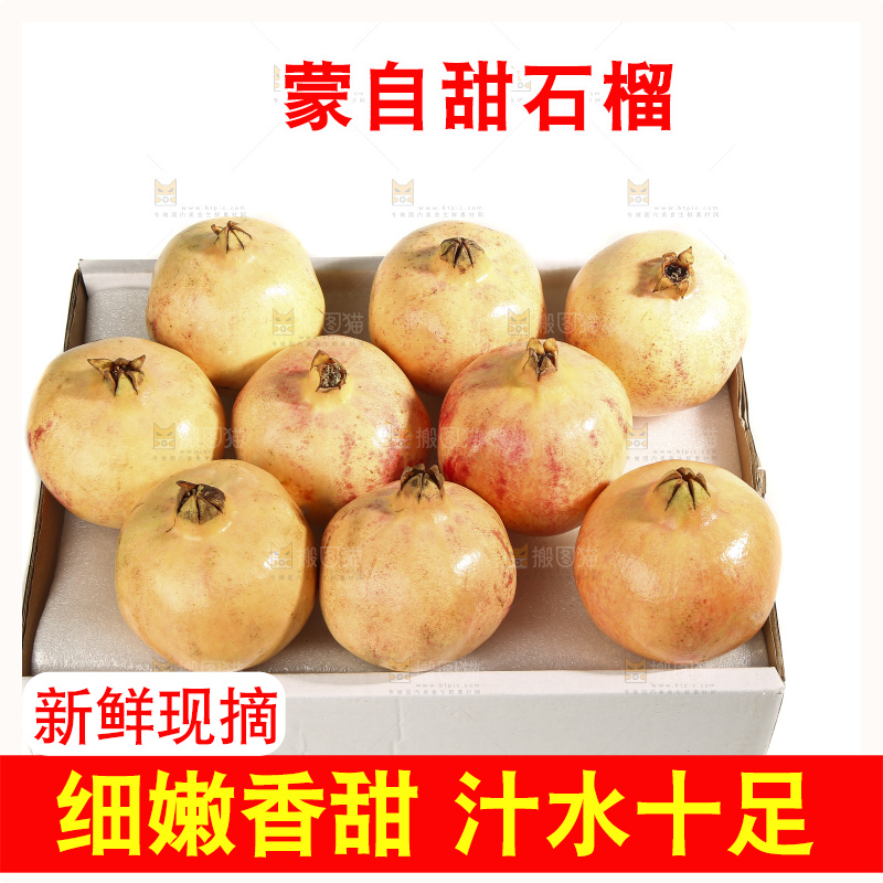 白底上的蒙自石榴
