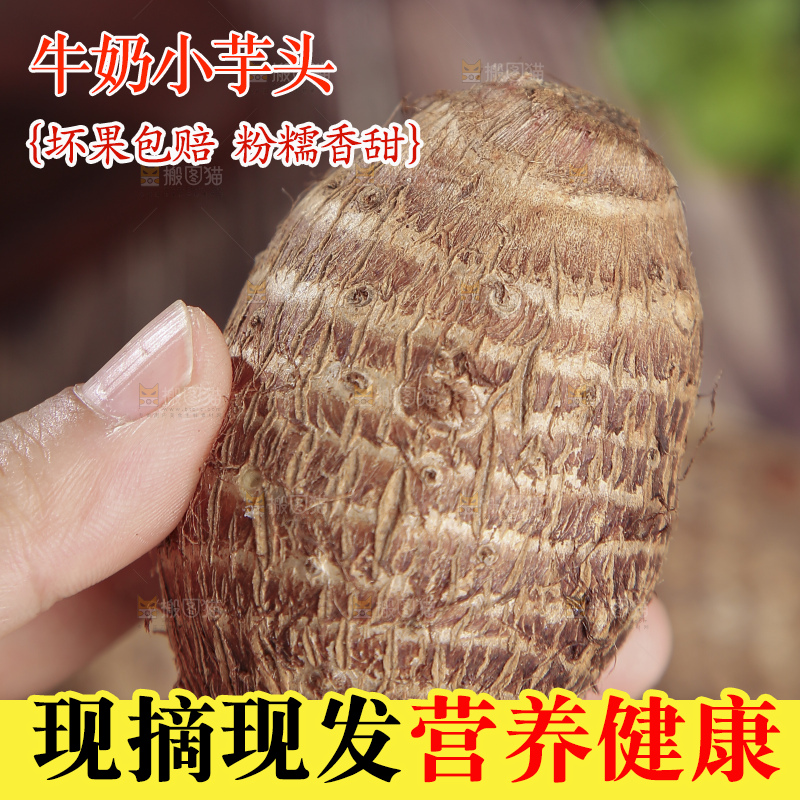 深底上的新鲜小芋头