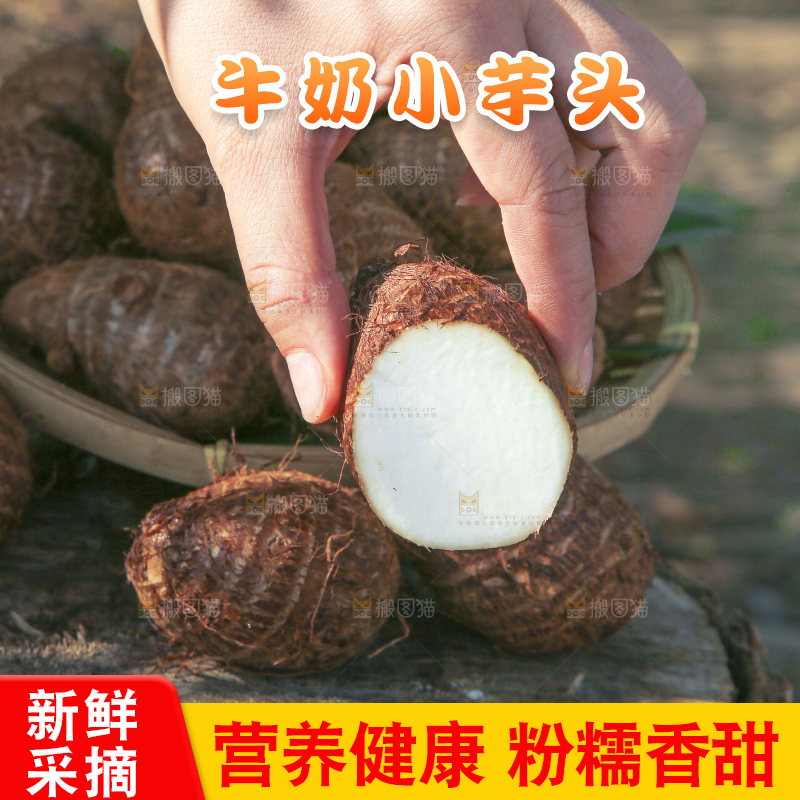 手里拿着新鲜小芋头