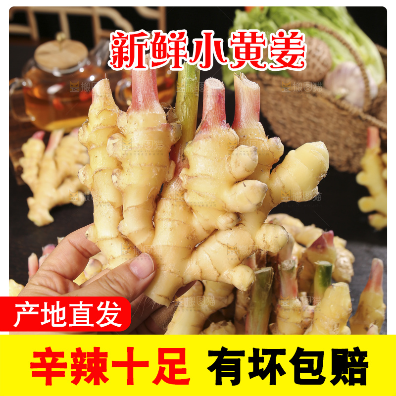 深底上的小黄姜