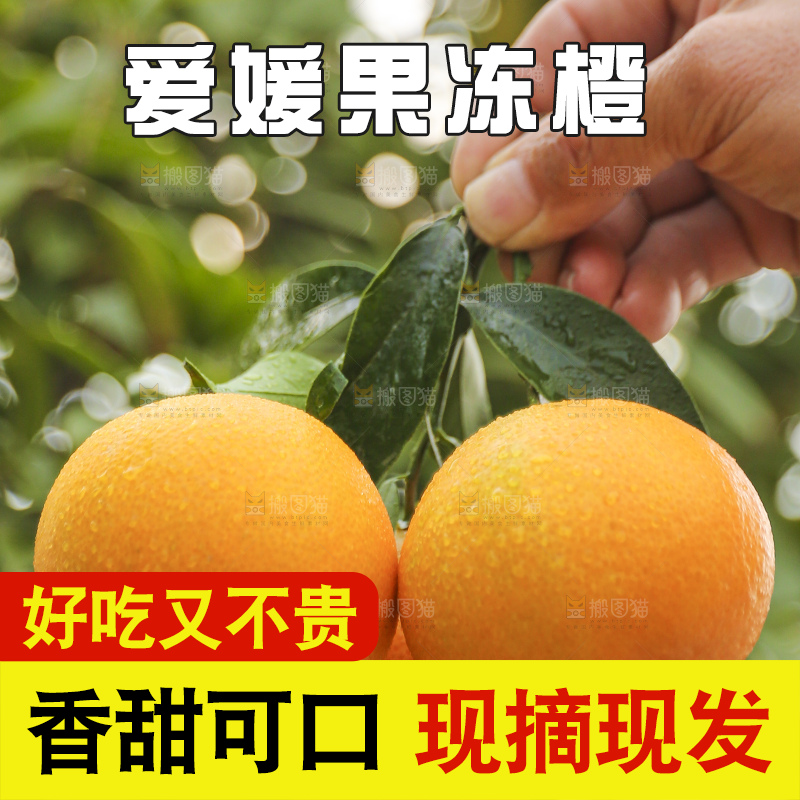 手里拿着爱媛果冻橙
