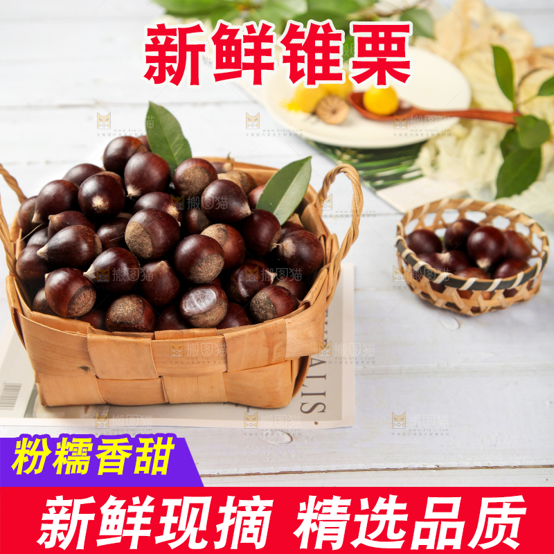 白底上放着锥栗