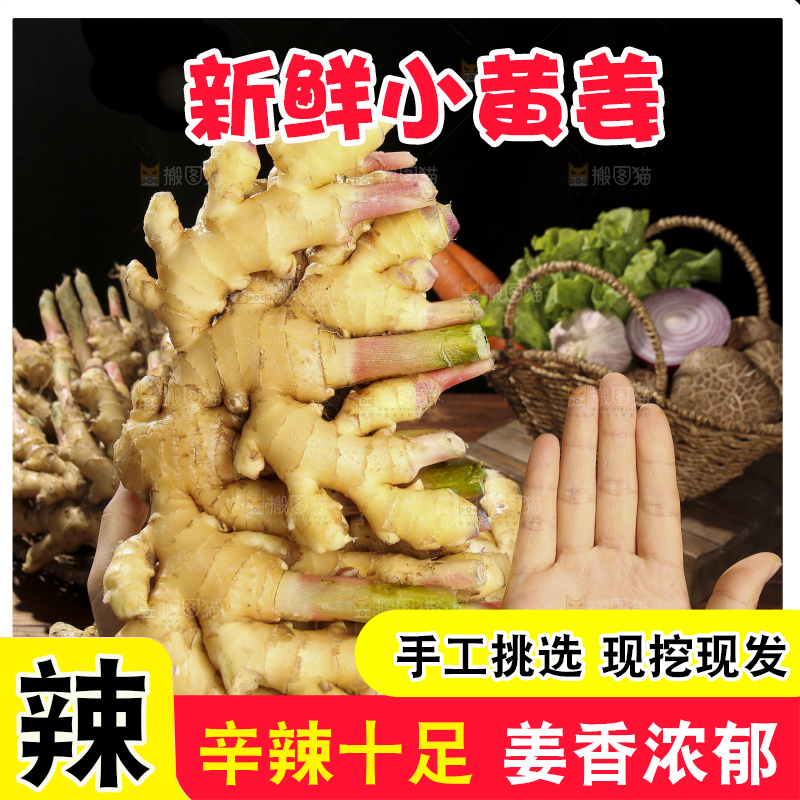 木底上的新鲜小黄姜