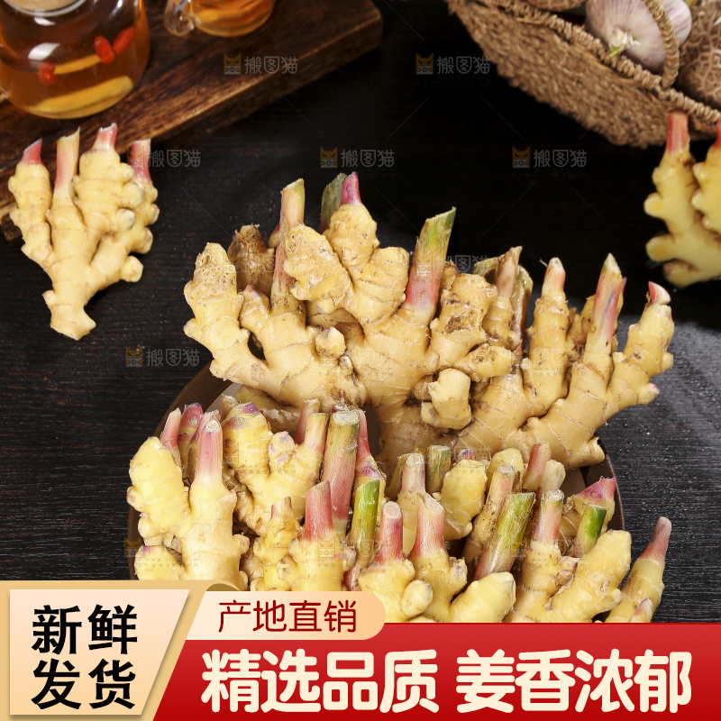 深底上的小黄姜