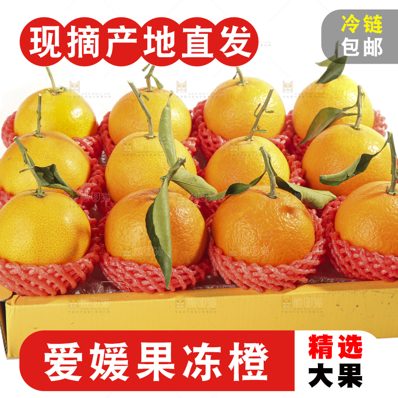 白底上的爱媛果冻橙
