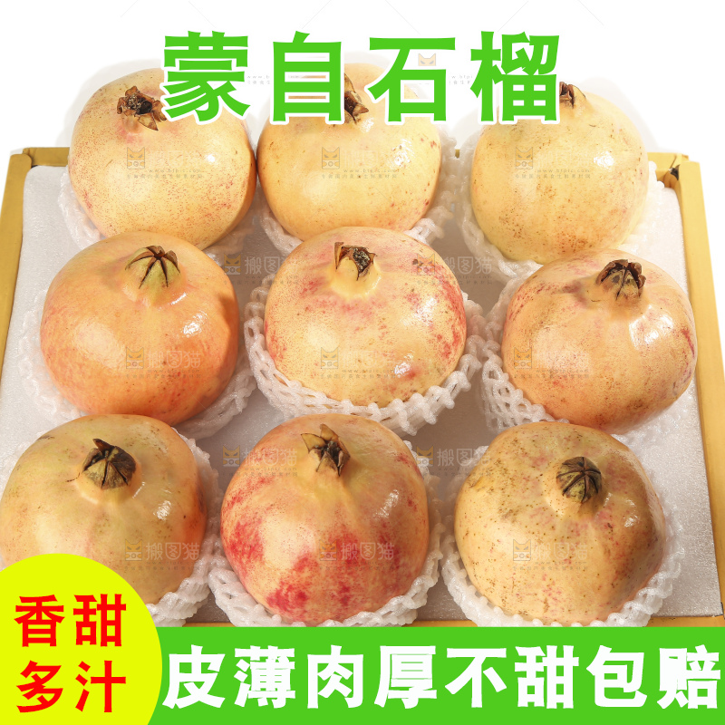 白底上的蒙自石榴