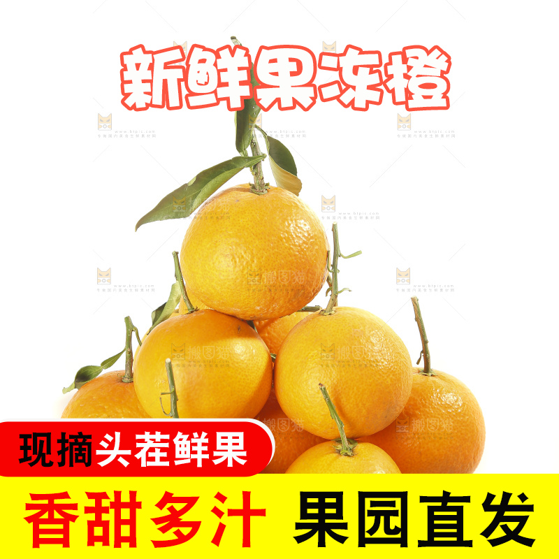 白底上的爱媛果冻橙