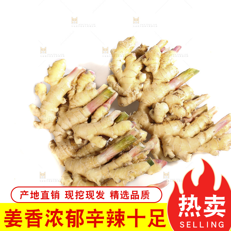 白底上的小黄姜