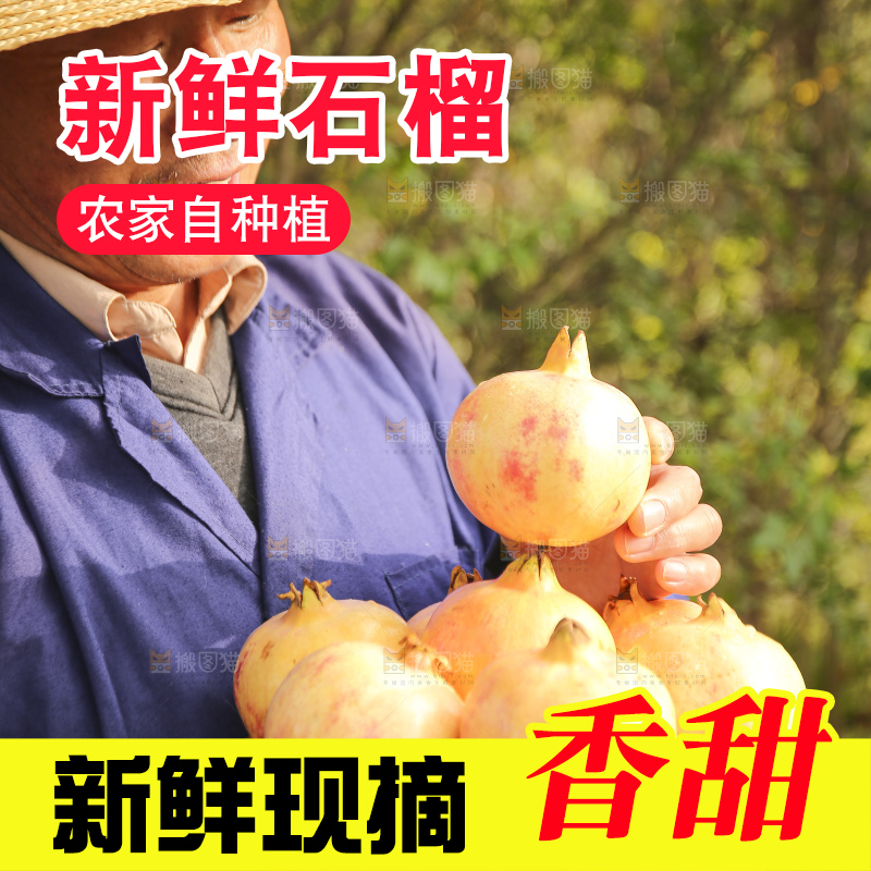 手里拿着蒙自石榴