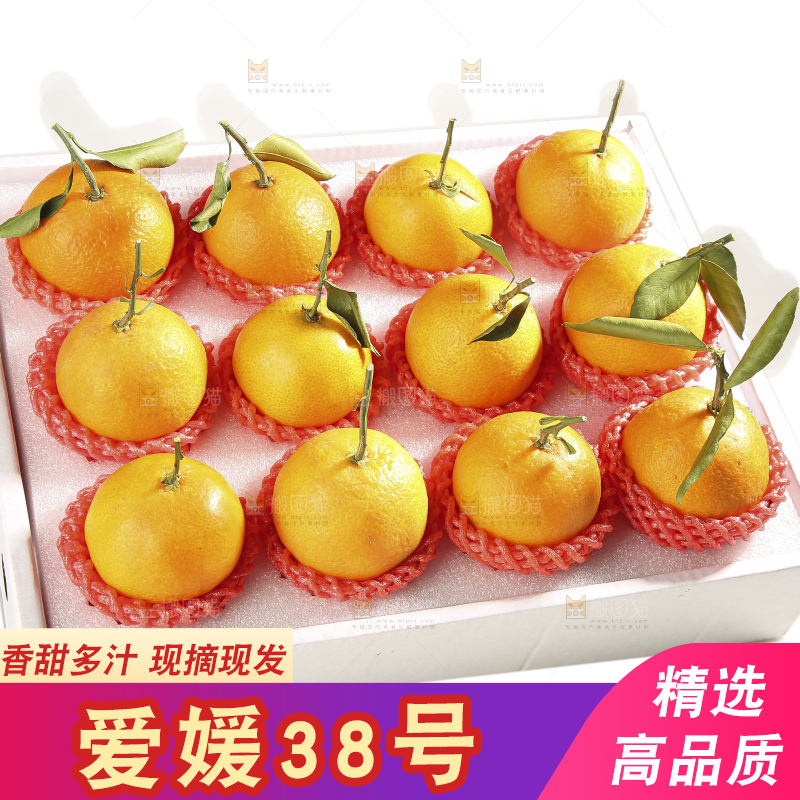白底上的爱媛果冻橙