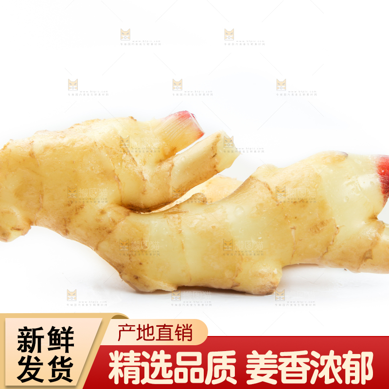 白底上摆放着生姜