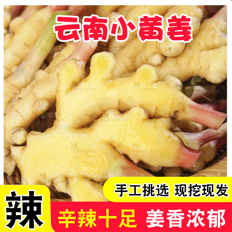 深底上的小黄姜