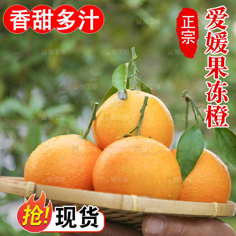 手里拿着爱媛果冻橙