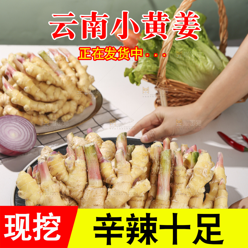 浅底上的小黄姜