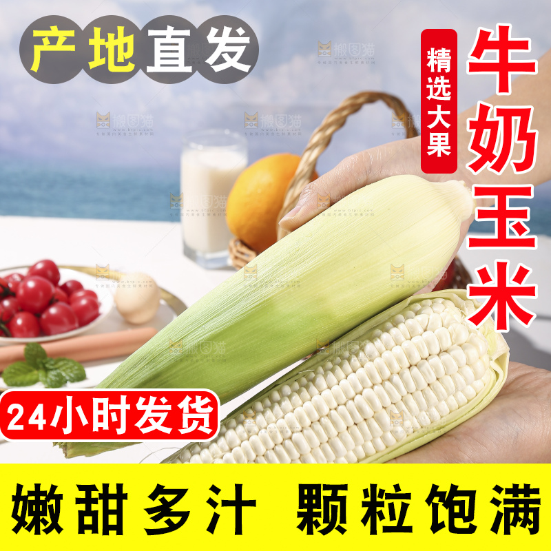 浅底上的牛奶玉米