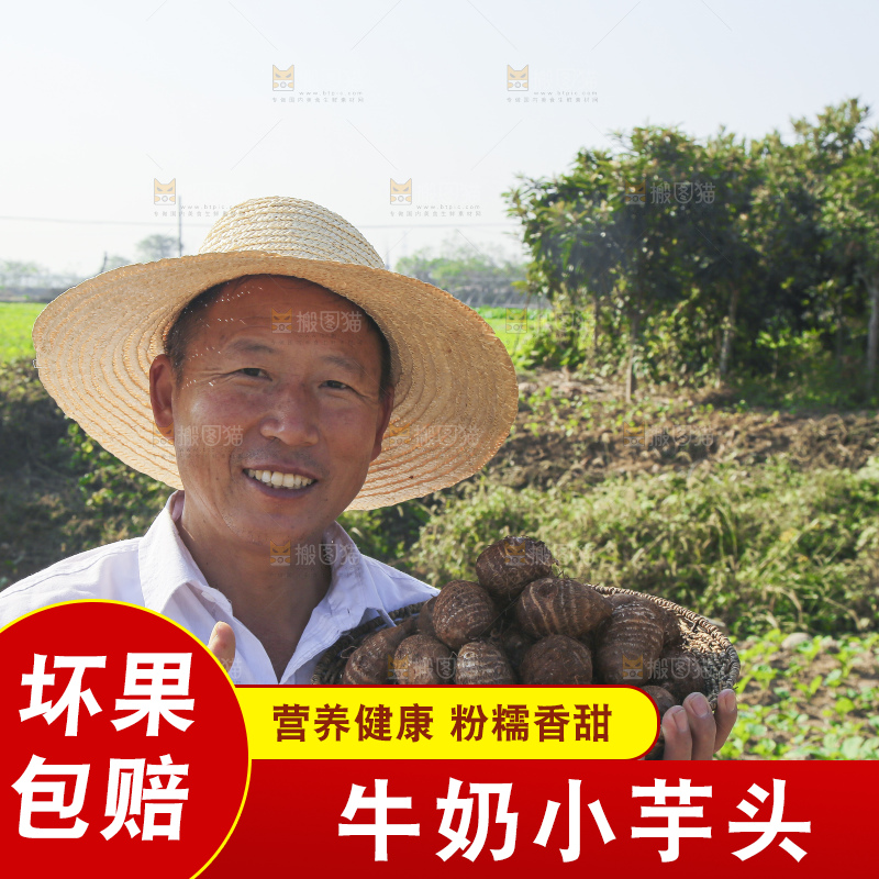 手里拿着新鲜小芋头