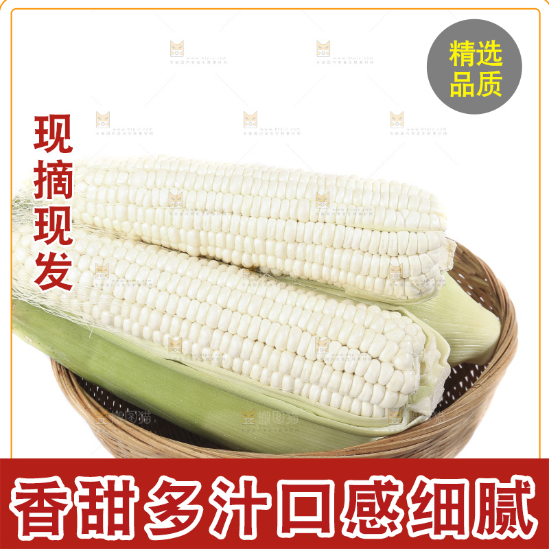 白底上的牛奶玉米