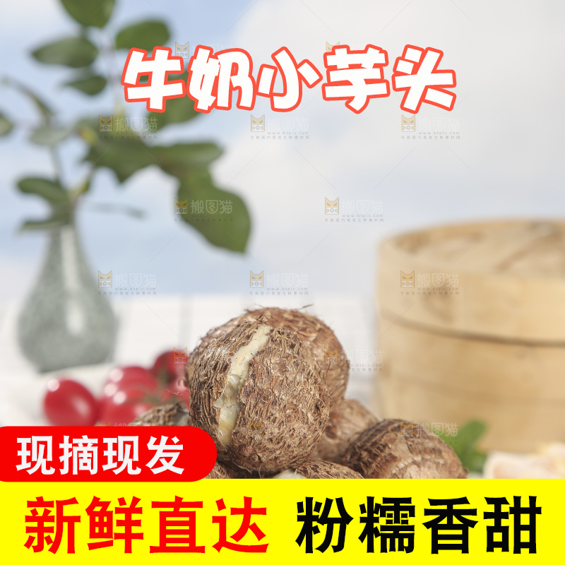 浅底上的新鲜小芋头