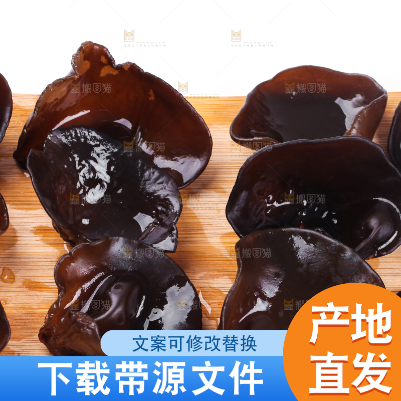 白底上的小碗耳