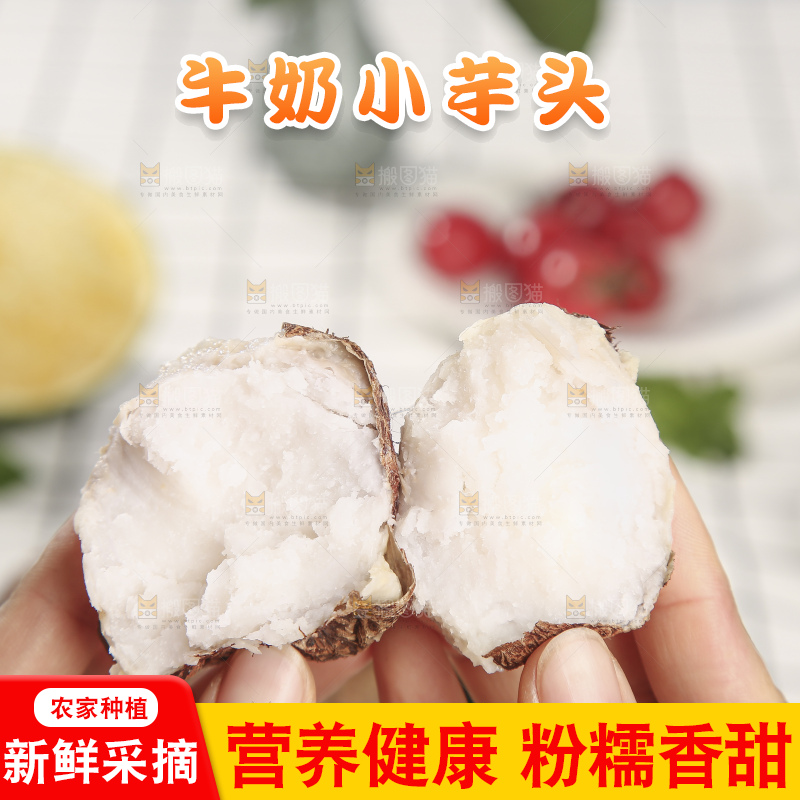 浅底上的新鲜小芋头