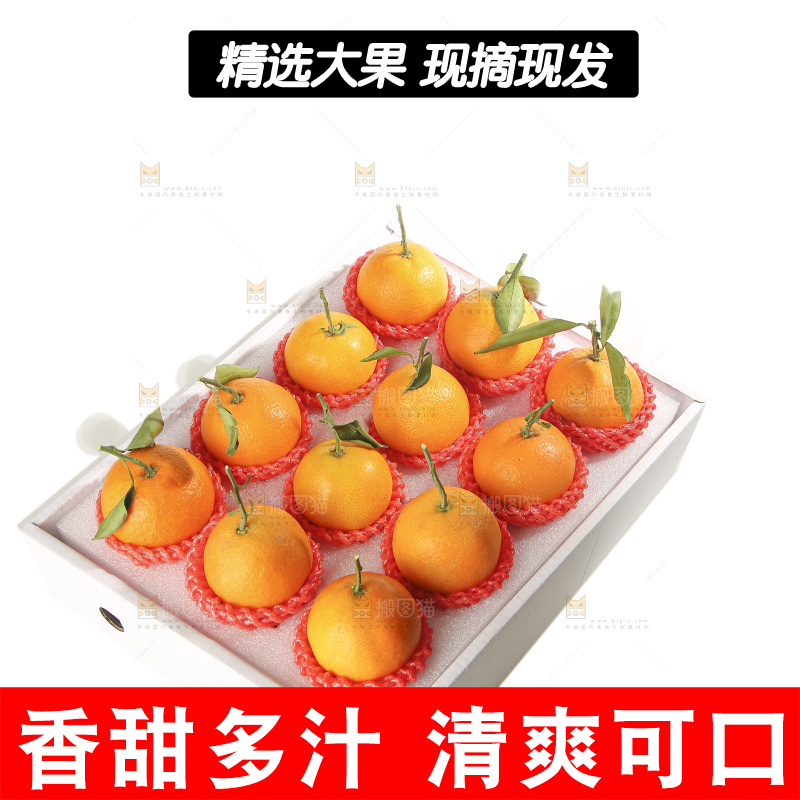 白底上的爱媛果冻橙