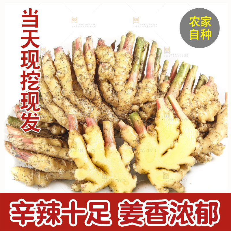 白底上的小黄姜