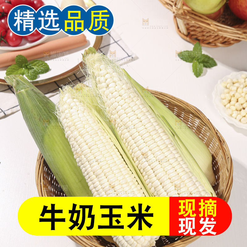 浅底上的牛奶玉米