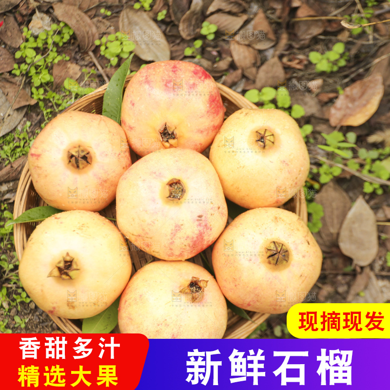 手里拿着蒙自石榴