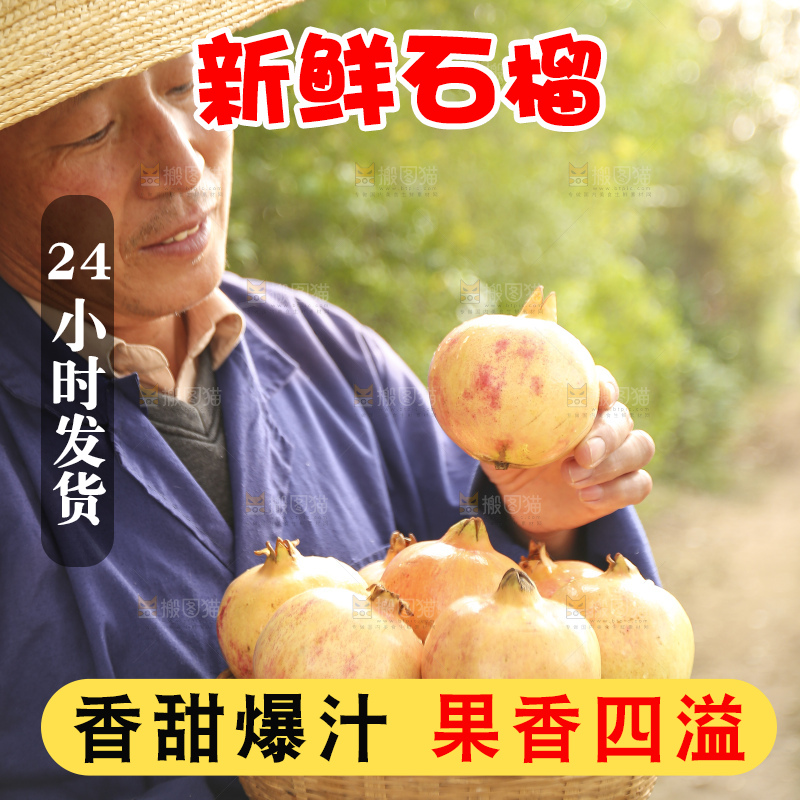 手里拿着蒙自石榴