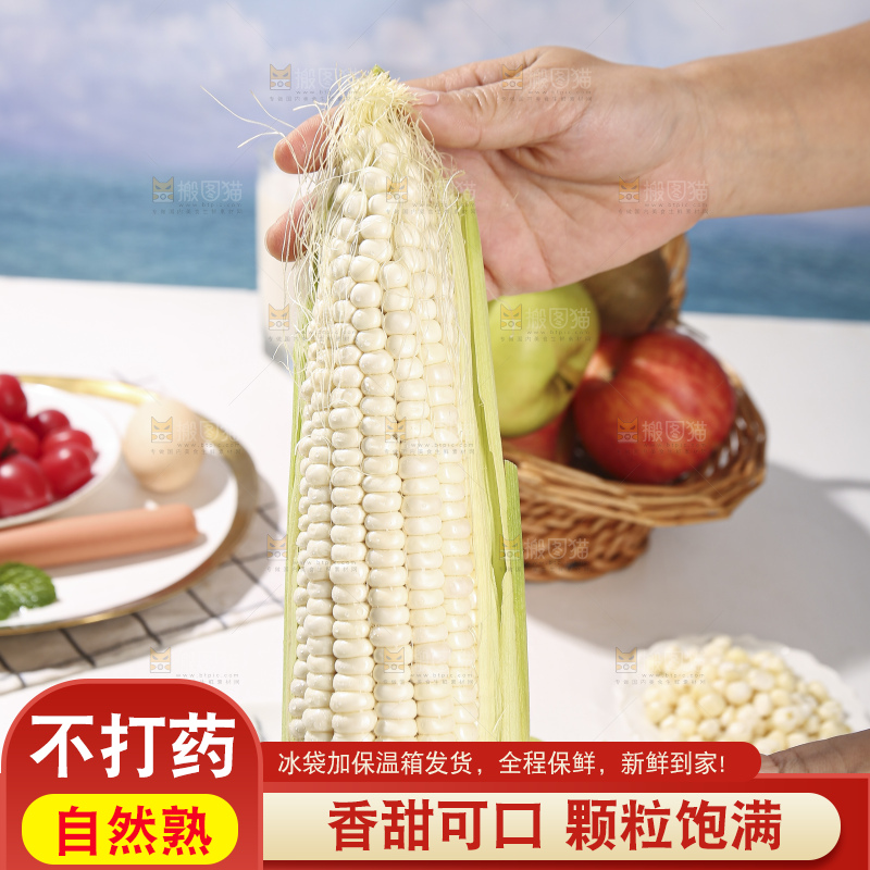 浅底上的牛奶玉米