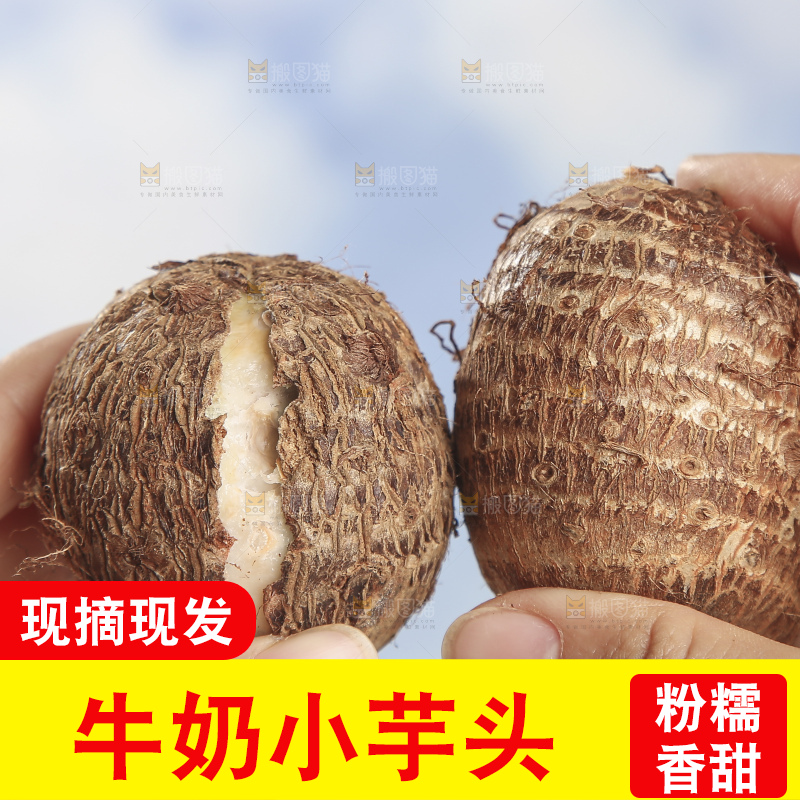 浅底上的新鲜小芋头