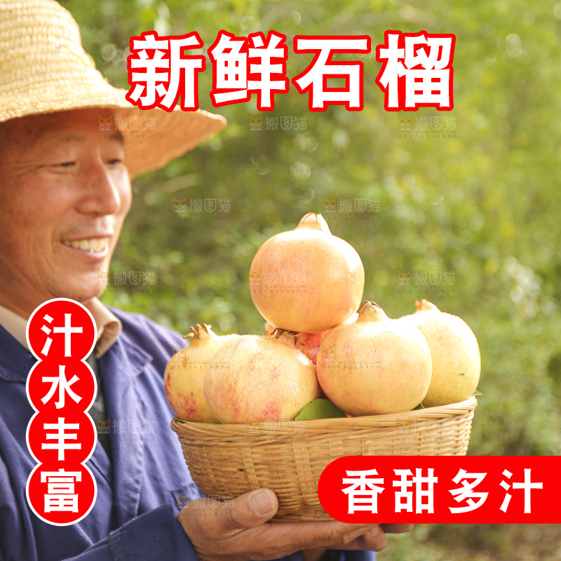 手里拿着蒙自石榴