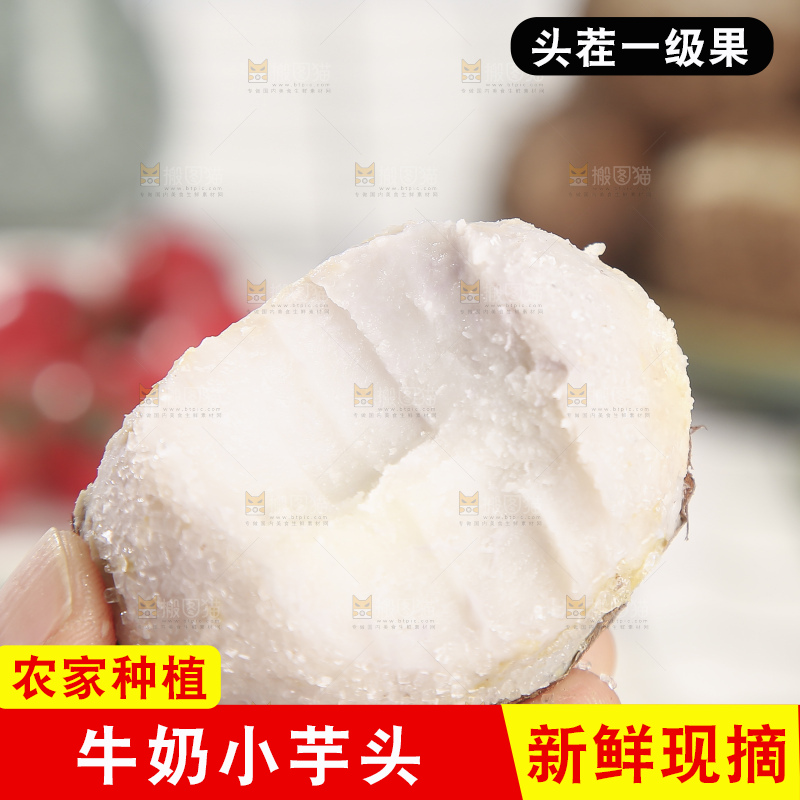 浅底上的新鲜小芋头