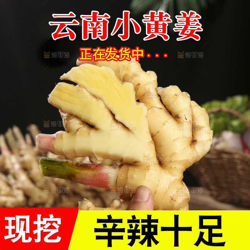 木底上的新鲜小黄姜