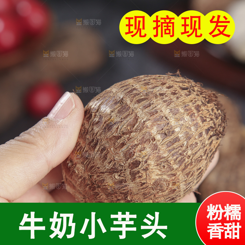深底上的新鲜小芋头