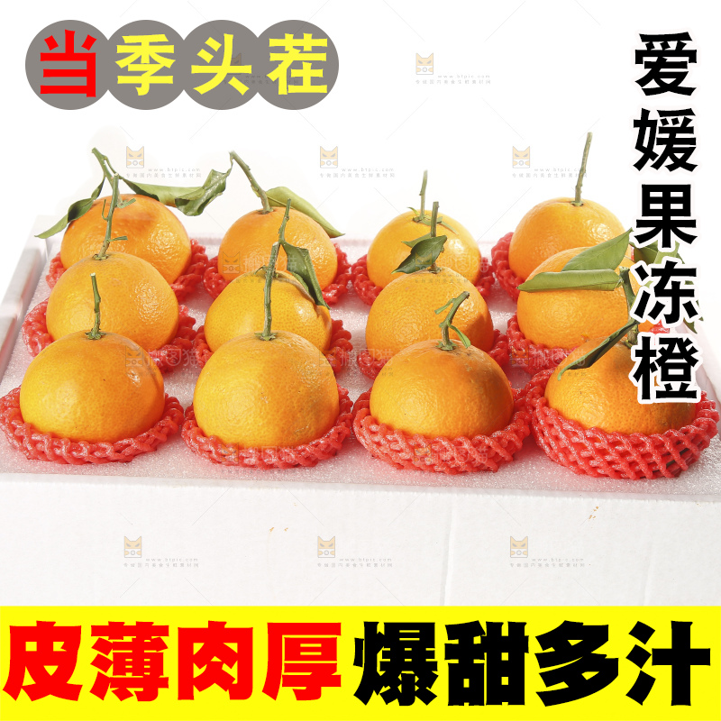 白底上的爱媛果冻橙