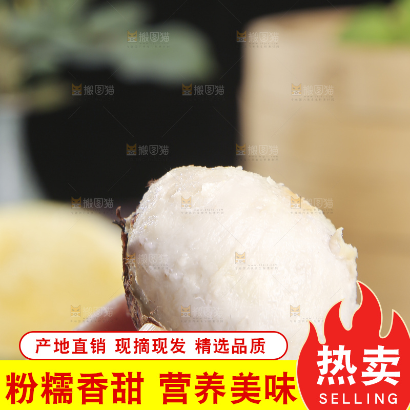 深底上的新鲜小芋头